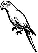Symbol Symbol