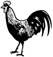 рдордВрдЧреЛрд▓ рдиреЗрд╢рдирд▓ рдЕрд░реНрдЧрдирд╛рдЗрдЬреЗрд╕рди